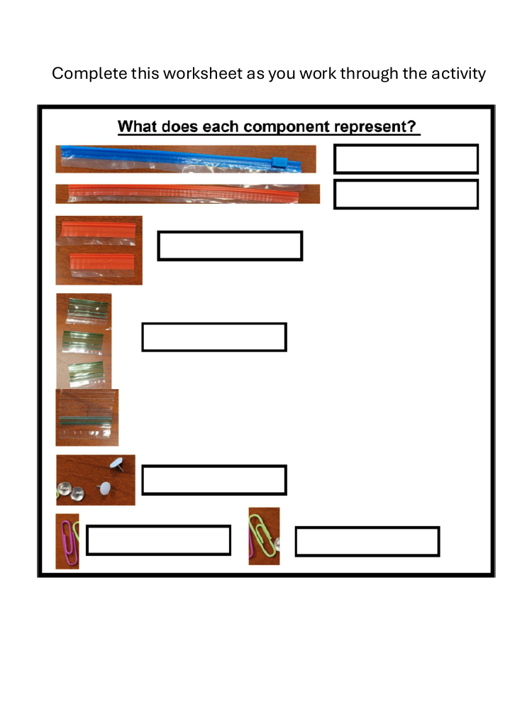 DNA replication components thumbnail
