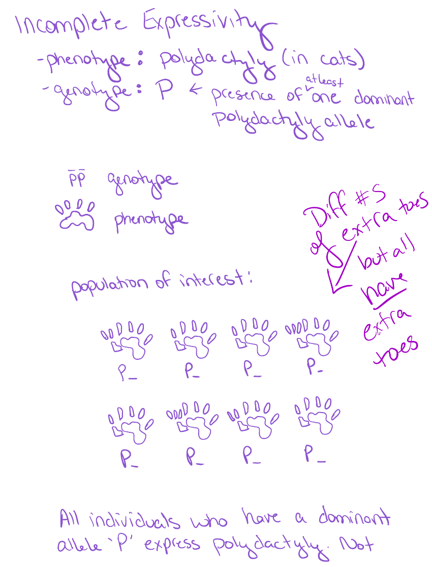 Expressivity and penetrance examples thumbnail
