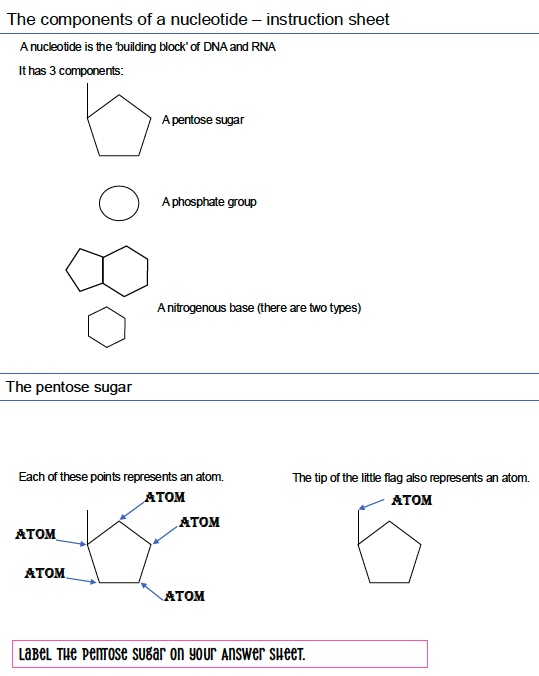Nucleotide Activity thumbnail