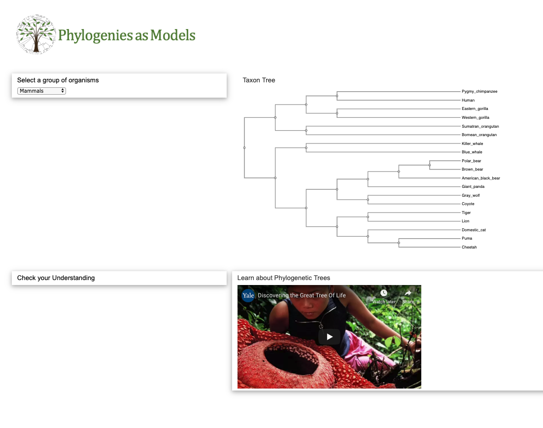 Screenshot of the Phylogenies as Models Website